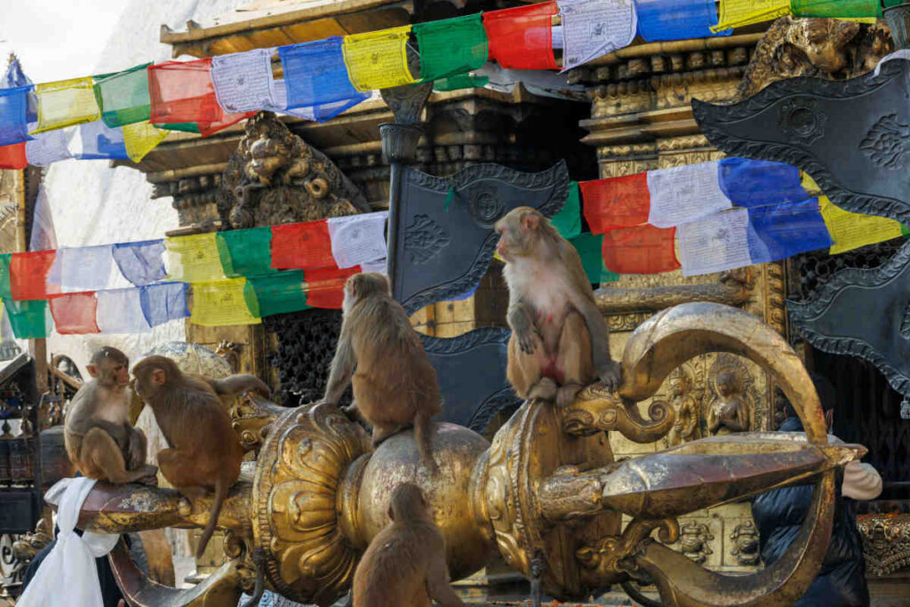 Swayambhunath in Kathmandu, Nepal