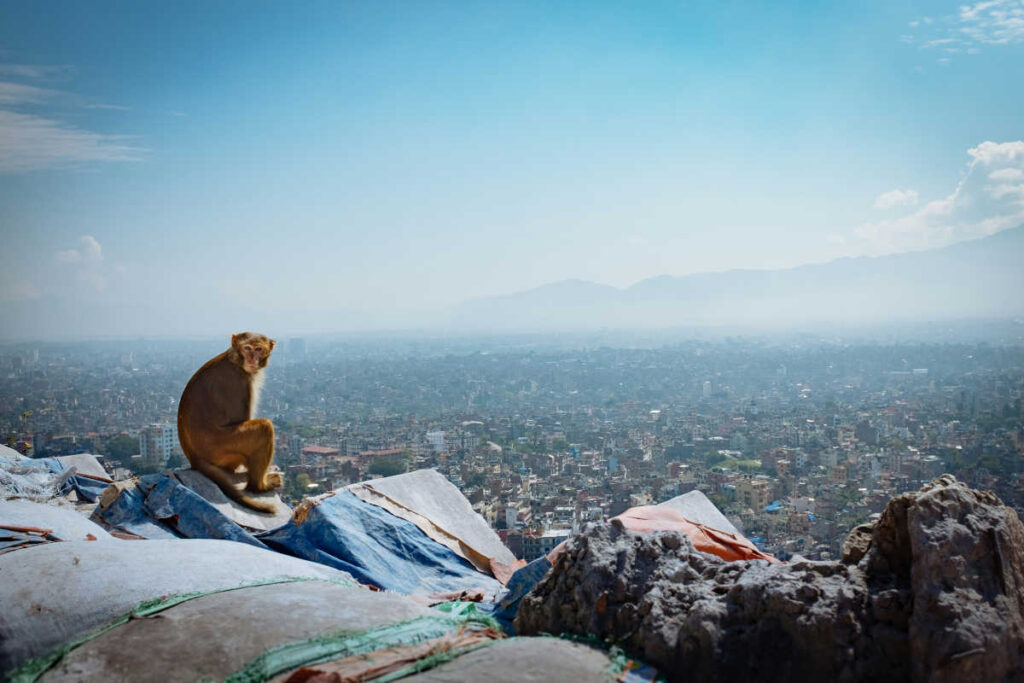 Swayambhunath, Kathmandu Nepal